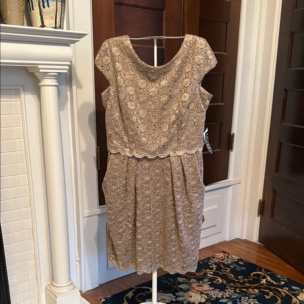 Alex Evenings Dress in Gold w/Lace Cap Sleeves-subtle sequins. NWT. Retail 140